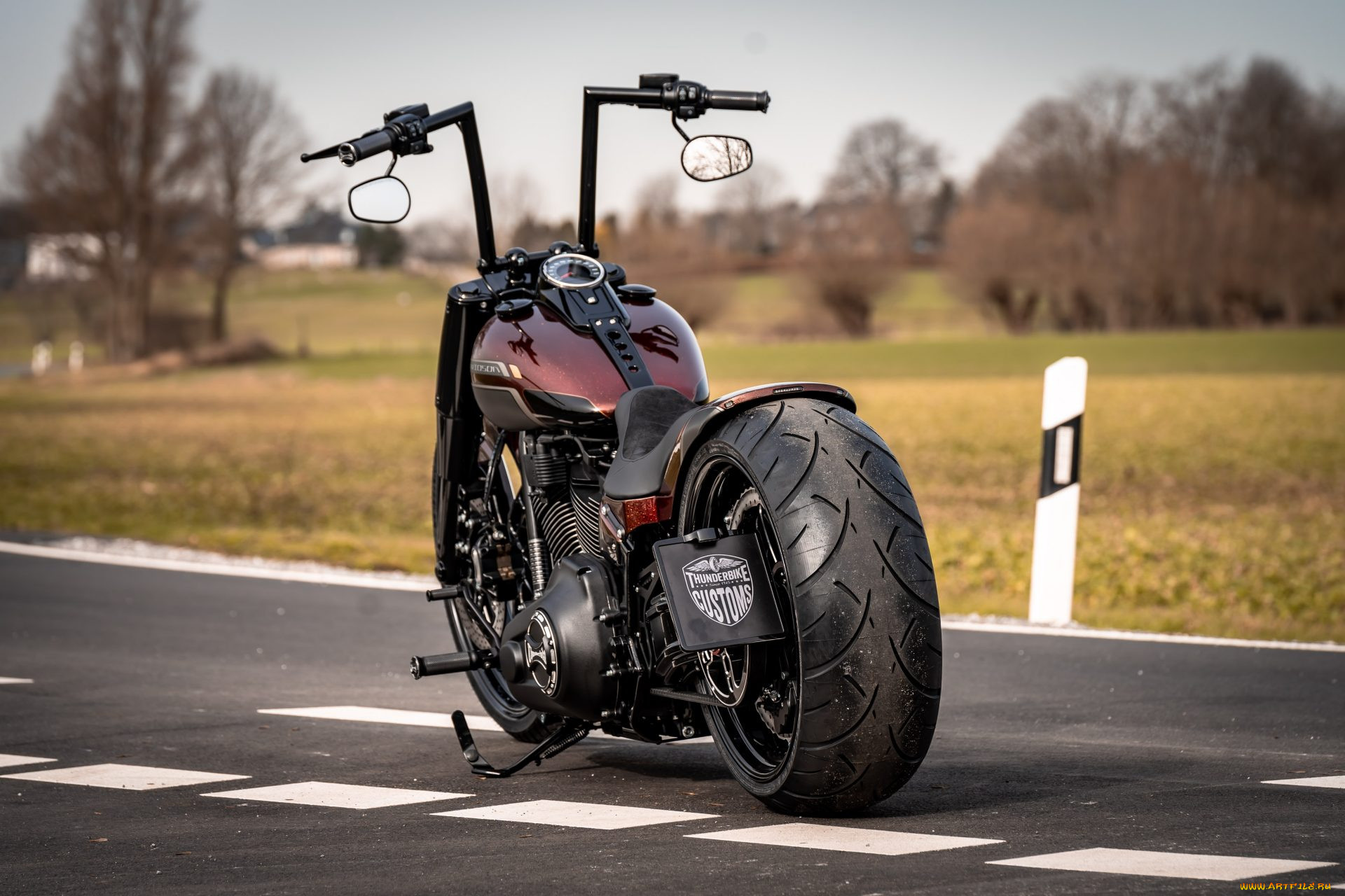, harley-davidson, softial, red, force, customized, custombikes